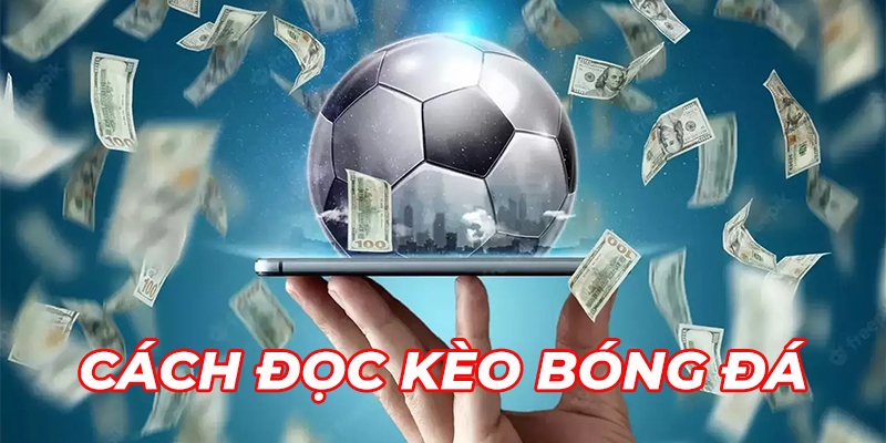 Hướng Dẫn Cách Đọc Kèo Bóng Đá Chi Tiết Cho Người Mới Chơi 2 Tổng quan cơ bản về cách đọc kèo bóng đá