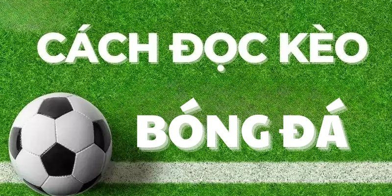 Những mẹo đọc vị kèo bóng đá hiệu quả