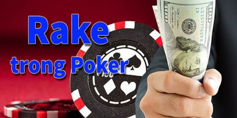 Giới thiệu khái quát về rake là gì